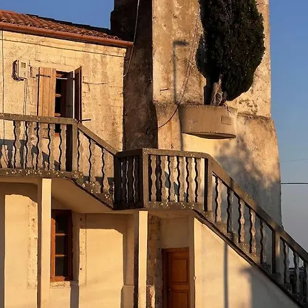 Color - South Paradise 6