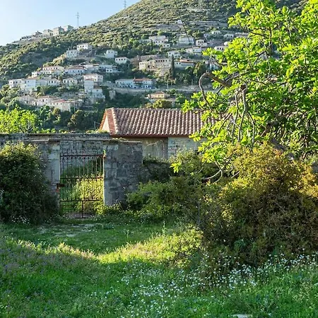 Color - South Paradise 6 Himare