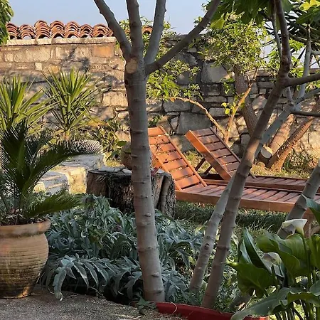 Color - South Paradise 6