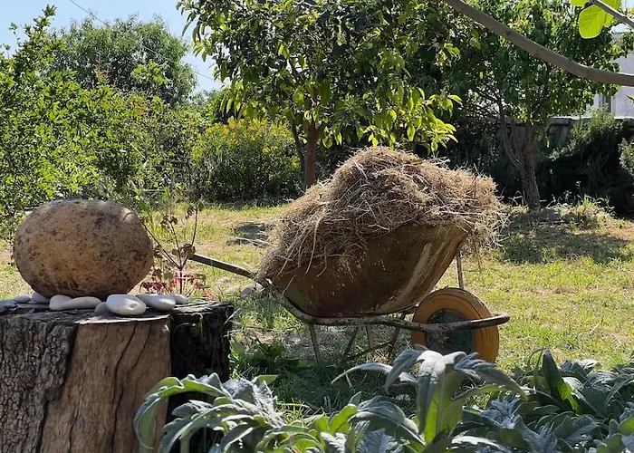 Lägenhet Color - South Paradise 6