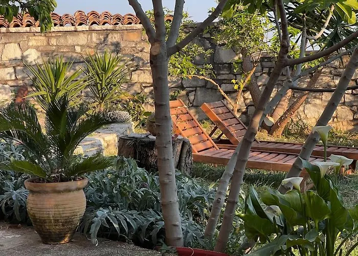 Color - South Paradise 6